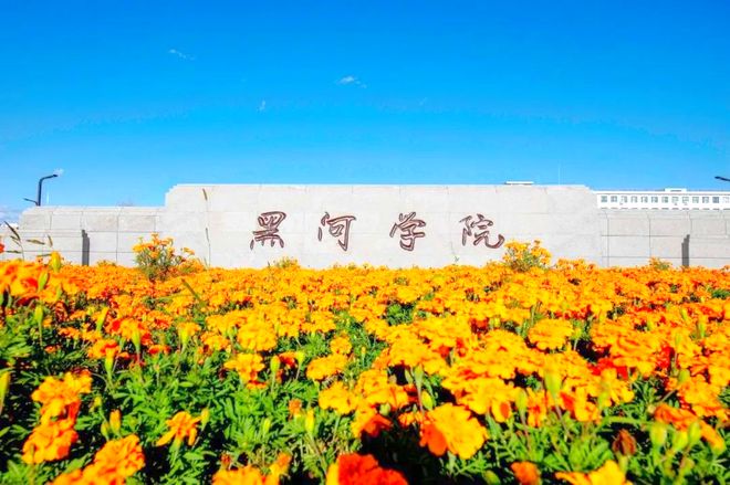 11院校东北农大现年46岁非常年轻冰球突破黑河学院换帅！新书记来自2(图3)
