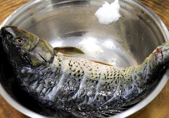 鱼引发美食热潮食客纷纷点赞冰球突破正规网站四川豆瓣(图1)