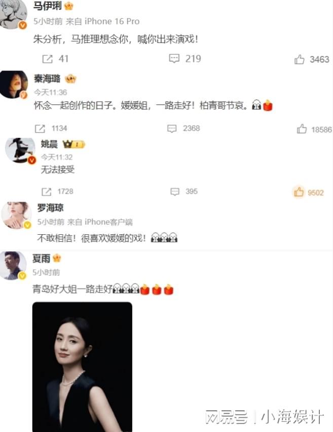 辛柏青悲痛发文赵丽颖等多位明星悼念冰球突破技巧演员朱媛媛患癌去世丈夫(图12)