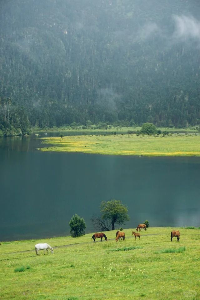 略！6日游最佳线+和老人出行错峰必看冰球突破游戏网站2025云南旅游攻(图3)