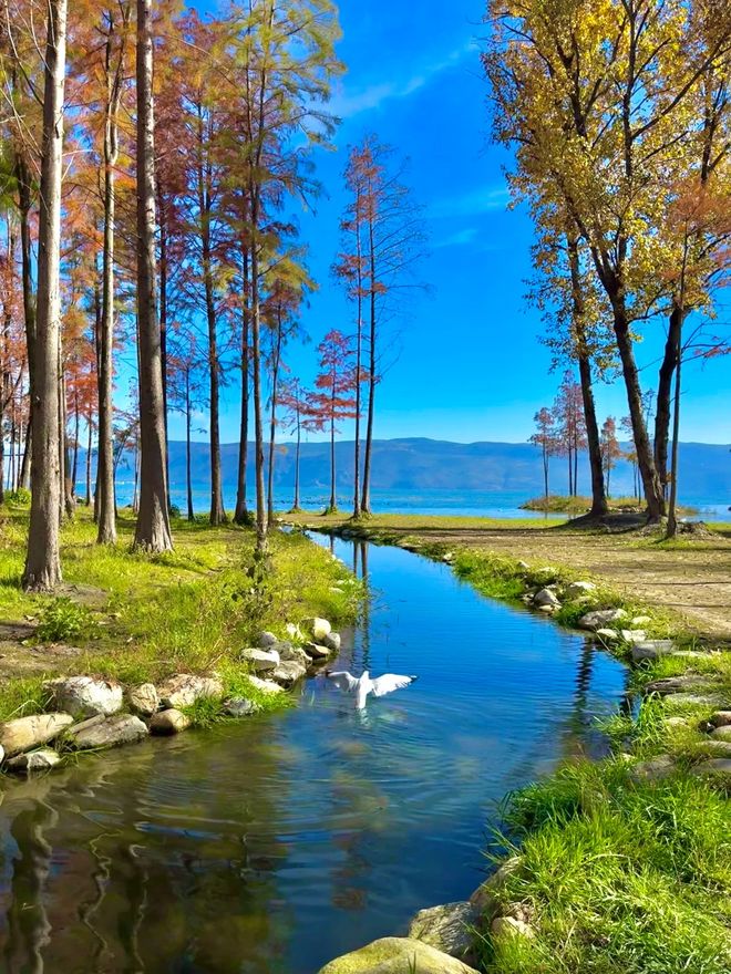 略！6日游最佳线+和老人出行错峰必看冰球突破游戏网站2025云南旅游攻(图4)