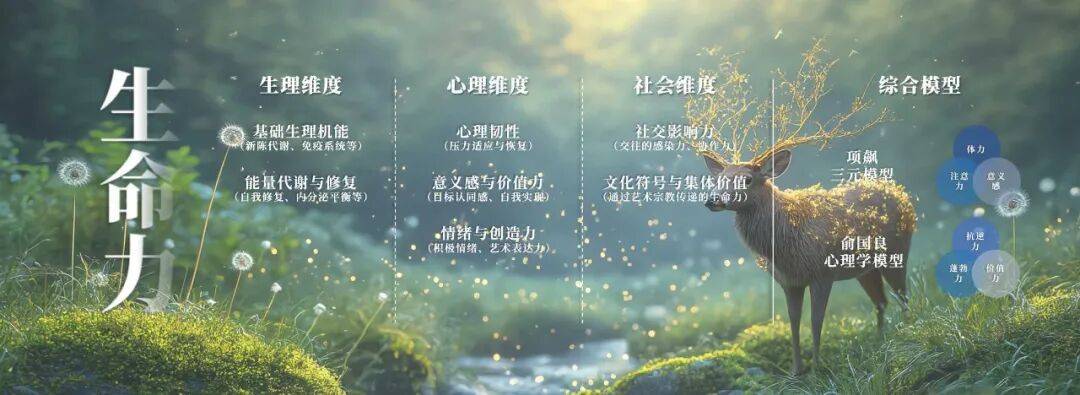 的力量 沈帅波和他的朋友们第四季冰球突破